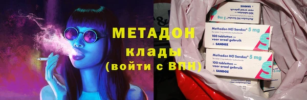прущие грибы Аркадак