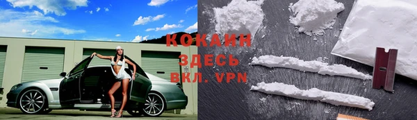 прущие грибы Арсеньев