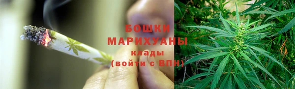 прущие грибы Аркадак