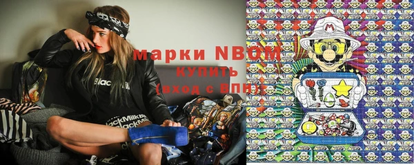 прущие грибы Аркадак