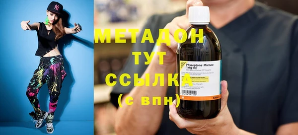 прущие грибы Аркадак