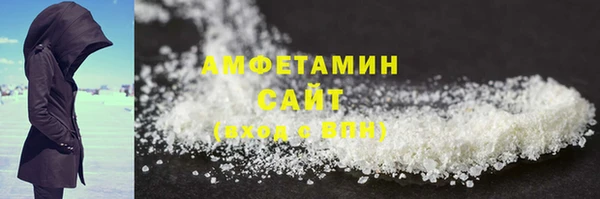 прущие грибы Аркадак