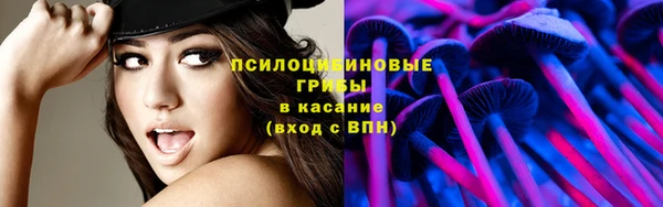 прущие грибы Арсеньев