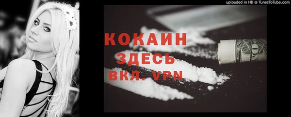 прущие грибы Аркадак