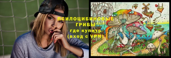 прущие грибы Аркадак