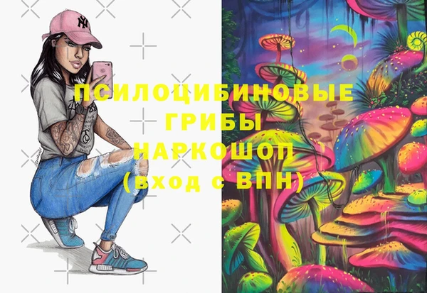 прущие грибы Аркадак